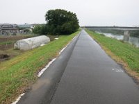 IMG (73)